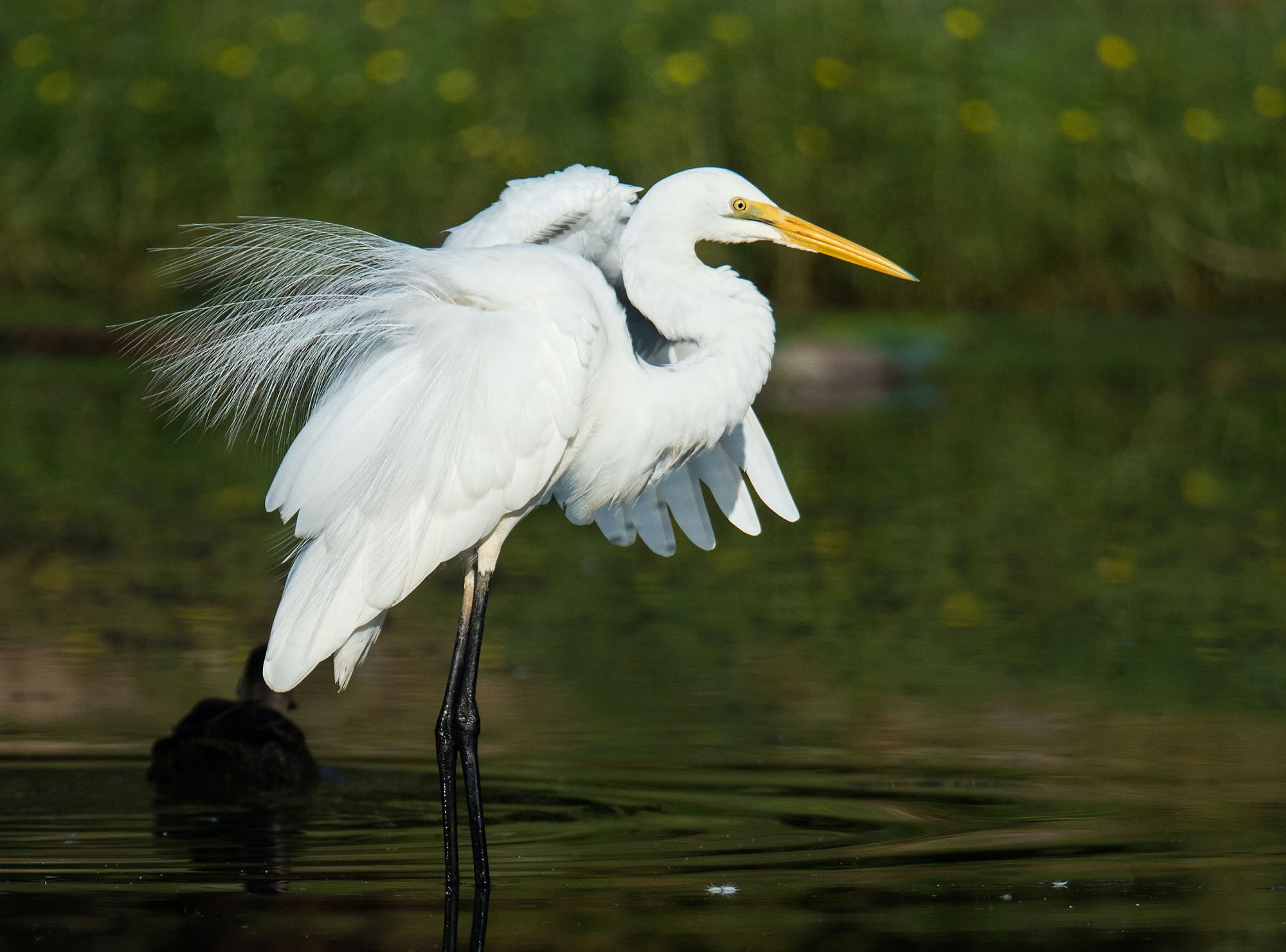 Estuary Discovery